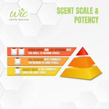 Load image into Gallery viewer, Soy Candle Gift Pack - 3 Candles
